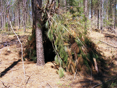 Survival Skills - Survival Shelter